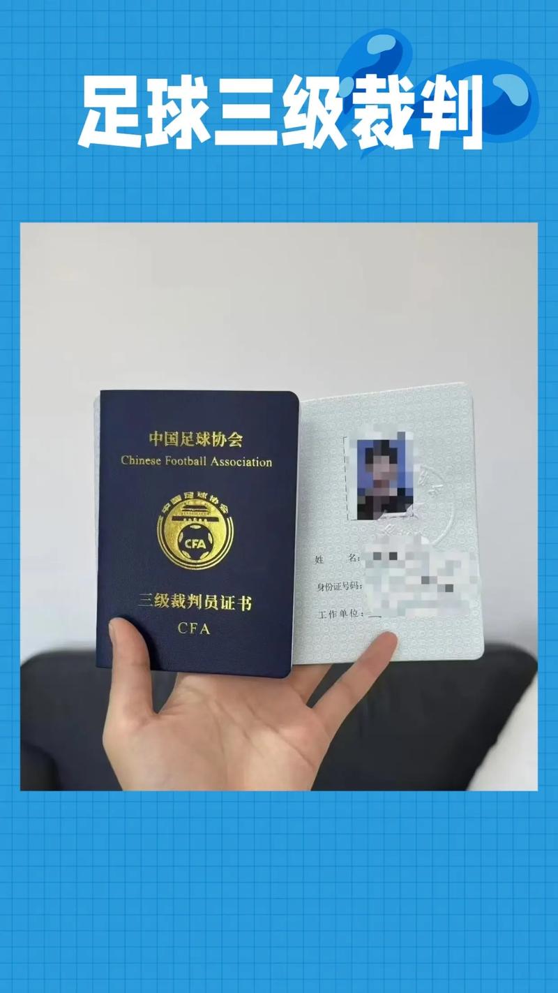 足球裁判等级查询？足球裁判等级在哪查？